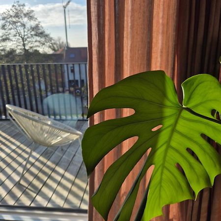 Julie'S Appartement Aan Zee - Jaaz 니우포르트 외부 사진